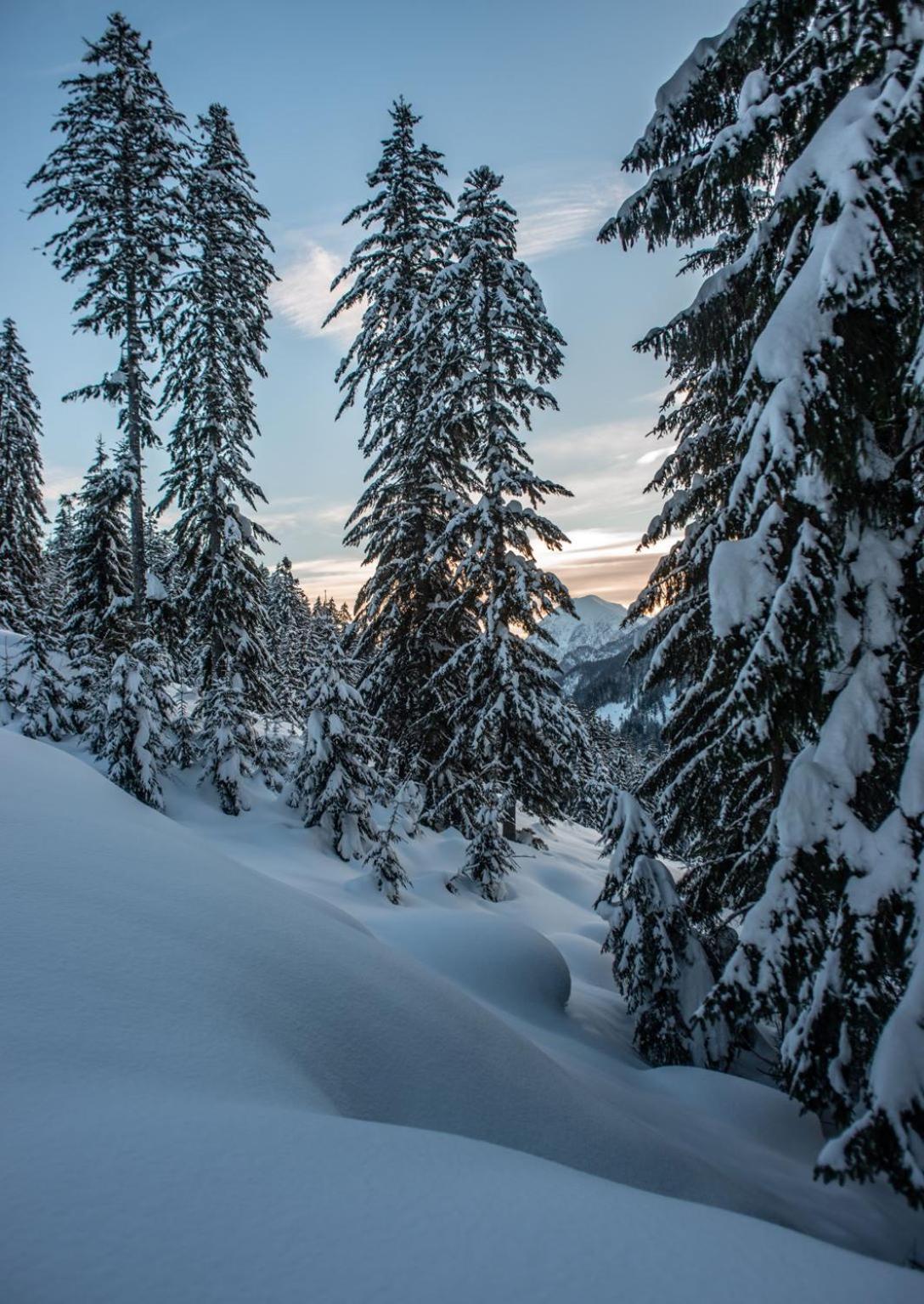 Naturparkresort Xeisblick Palfau Zewnętrze zdjęcie