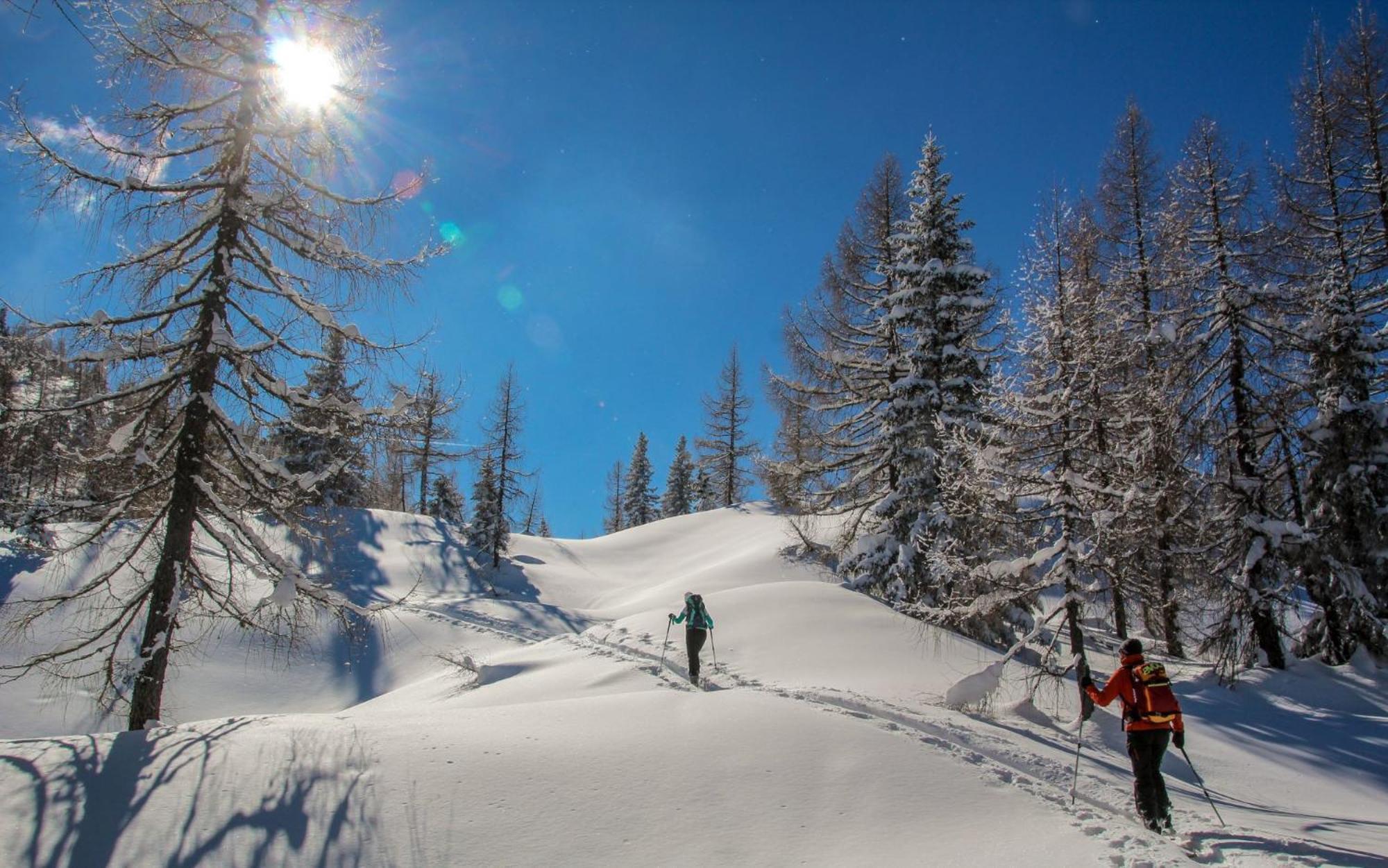Naturparkresort Xeisblick Palfau Zewnętrze zdjęcie