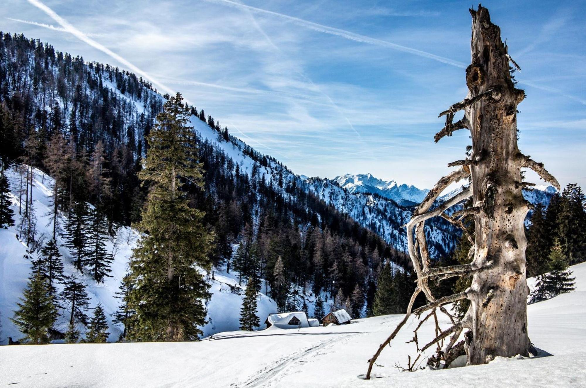 Naturparkresort Xeisblick Palfau Zewnętrze zdjęcie